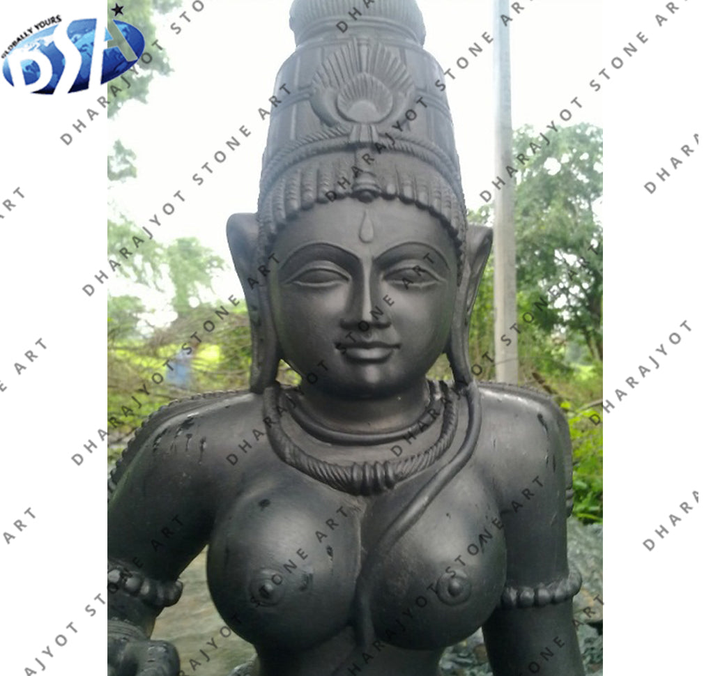 Black Marble Deeting Kali Mata Statue