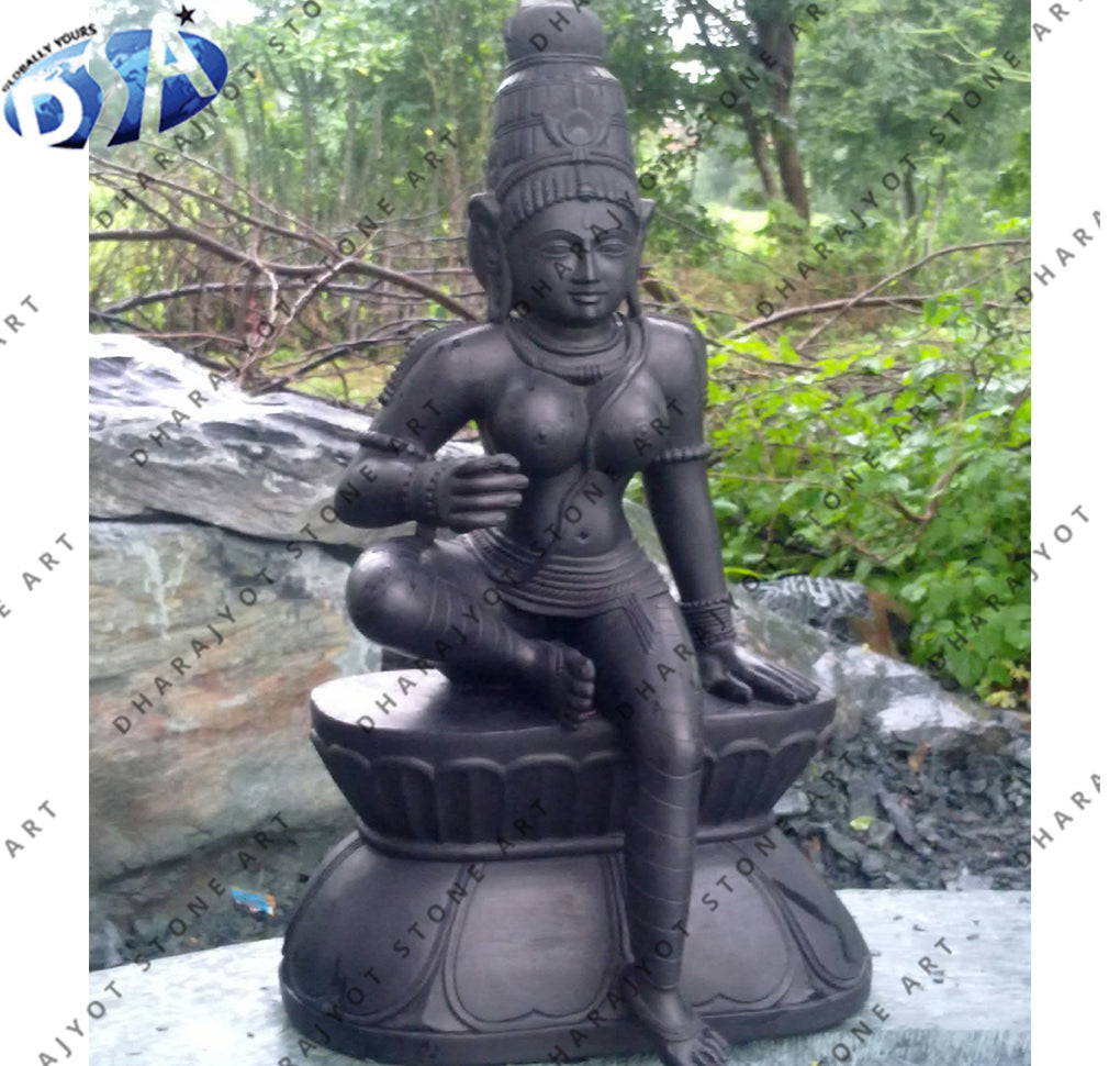 Black Marble Deeting Kali Mata Statue