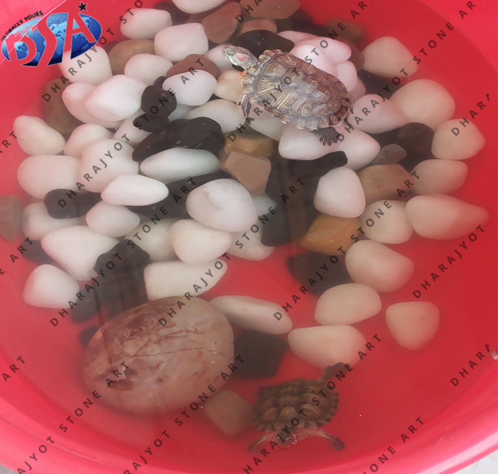 Polished White Pebbles Cobble And Pebble