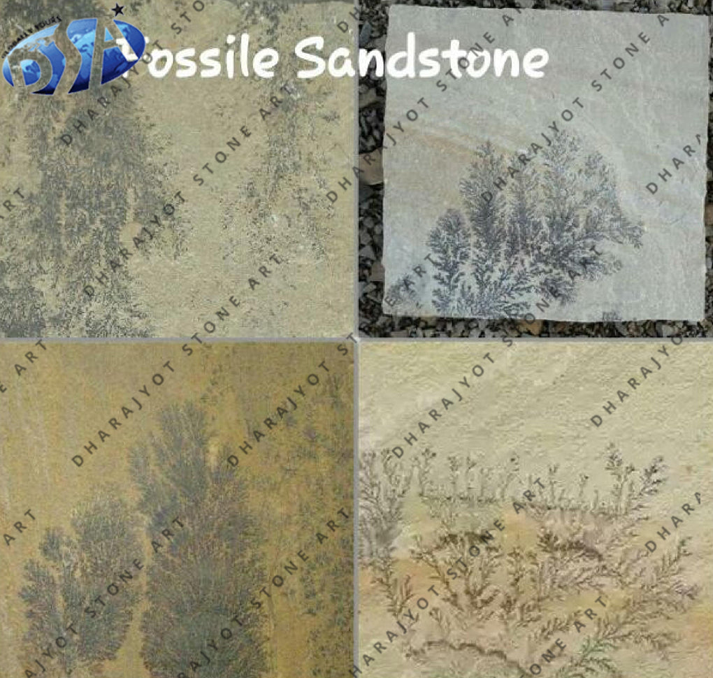 Mint Fossil Natural Sandstone Tiles