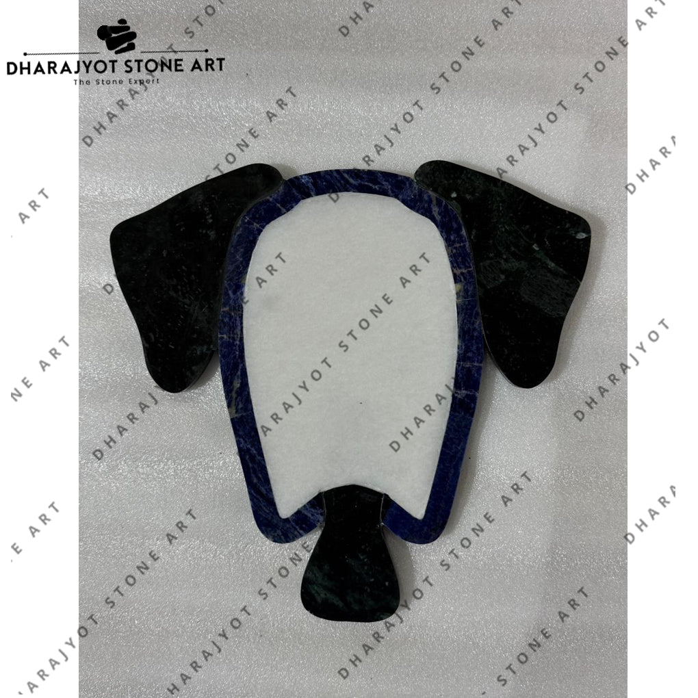 Handcrafted Blue Sodalite Turtle Wall Art