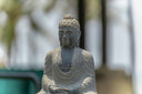 <p>Buddha Statues & Idols</p>